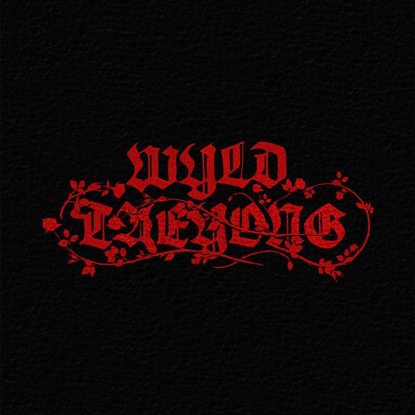 TAEYONG TAEYONG - 1st Album [WYLD] album cover