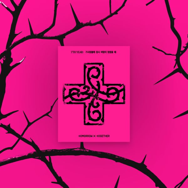 TOMORROW X TOGETHER - [7TH YEAR: 가시덤불에 잠시 바람이 멈췄을 때] — PPULBATU Ver. Weverse Albums ver.